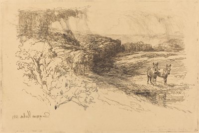Encombe Woods (Nº 1) de Francis Seymour Haden