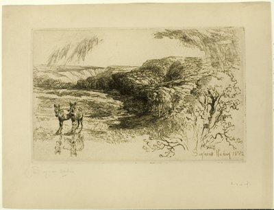 Encombe Woods, No. II de Francis Seymour Haden