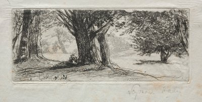 Campo de azevinho de Francis Seymour Haden