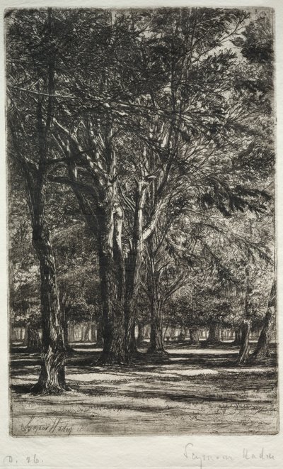 Jardins Kensington (O Prato Maior) de Francis Seymour Haden