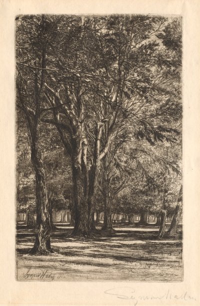 Kensington Gardens, nº 2 (prato grande) de Francis Seymour Haden