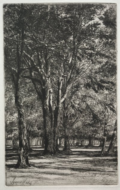 Jardins de Kensington a grande placa, 1860. de Francis Seymour Haden