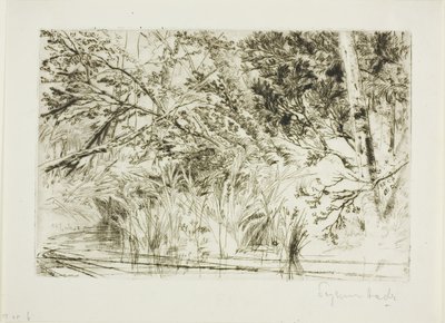 Boca de um riacho, No. II de Francis Seymour Haden