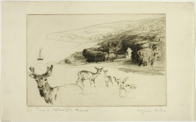 Mansão Newton de Francis Seymour Haden