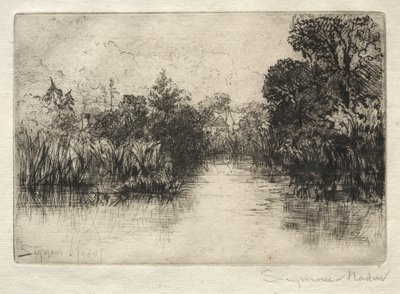 Shere Mill Pond Um pequeno estudo. de Francis Seymour Haden