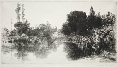 Shere Mill Pond, No. 11 (O Prato Grande) de Francis Seymour Haden