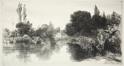 Lagoa do moinho de Shere a placa maior, 1860. de Francis Seymour Haden