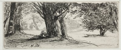 O campo de azevinho de Francis Seymour Haden