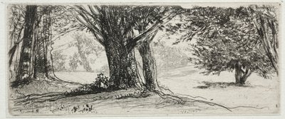 Holly Field. de Francis Seymour Haden