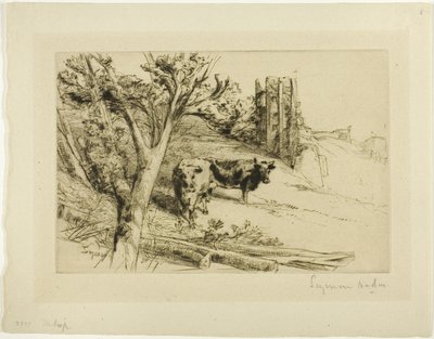 A Fortaleza de Francis Seymour Haden