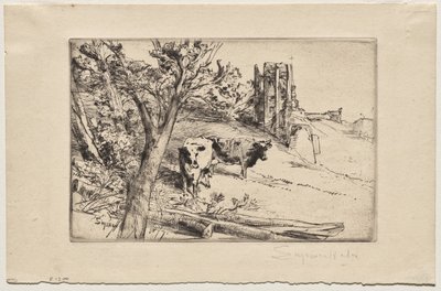 A Fortaleza de Francis Seymour Haden