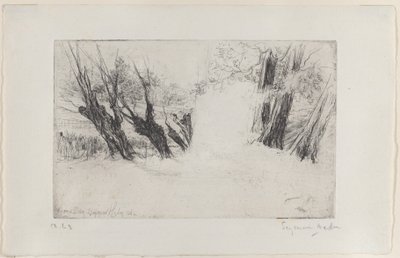 Floresta. de Francis Seymour Haden