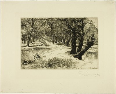 As três irmãs de Francis Seymour Haden