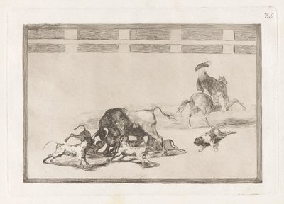 Echan perros al toro (Eles soltam cães no touro), Placa 25 de La tauromaquia de Francisco de Goya