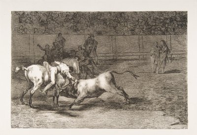 Floresta. de Francisco de Goya