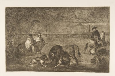Ilustração C: Os cães se soltam no touro. 1816 de Francisco de Goya
