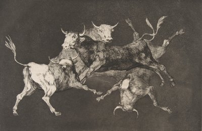 Placa D dos Disparates: tolos ou touros - fo ..., ca. 1816-23 publicado antes de 1877. de Francisco de Goya