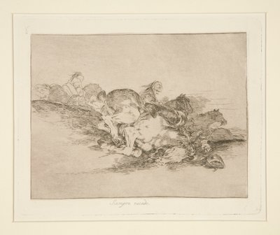 Sempre acontece (It Always Acontece), pl. 8 de Os Desastres da Guerra de Francisco de Goya