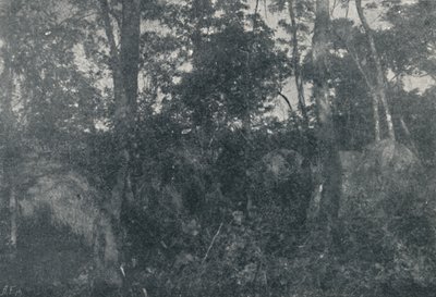 Cabanas de Índios, 1895 de Francisco Henszler