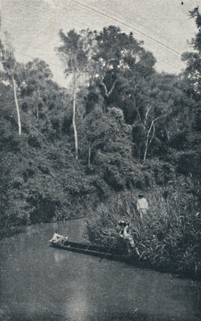 Rio de S. Anastácio, 1895 de Francisco Henszler