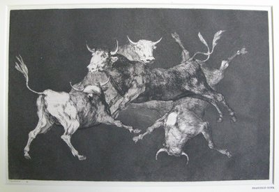 Disparate de tontos (Loucura de tolo) de Francisco Jose de Goya y Lucientes
