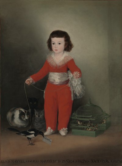 Dom Manuel Osorio Manrique de Zuniga (1784-92) de Francisco de Goya