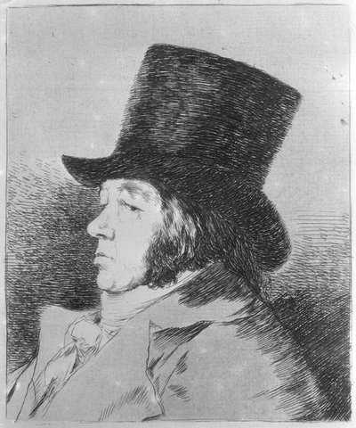  de Francisco Jose de Goya y Lucientes