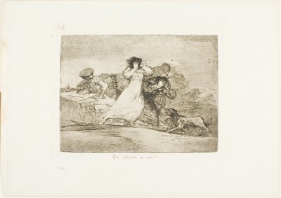 O que é isso Hubbub?, placa 65 de The Disasters of War de Francisco Jose de Goya y Lucientes