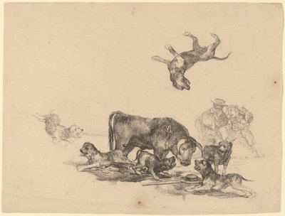 Touro atacado por cães de Francisco de Goya