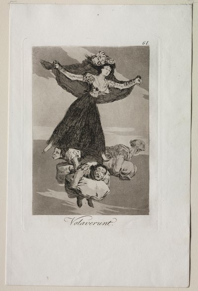 Caprichos: eles voaram. de Francisco de Goya