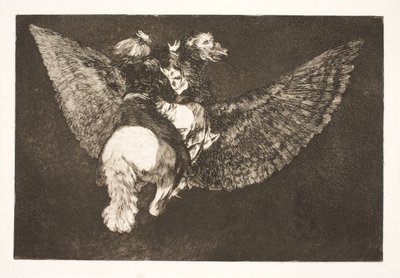 The Flying Folly (Desista do amigo que te esconde sob suas asas e te morde com o bico) de Francisco de Goya