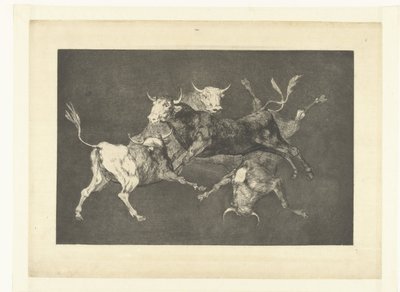 A idiotice dos pequenos touros
Disparate de tontos
Los Disparates (As loucuras) (título da série)
Los Proverbios (Os Provérbios) (título da série) de Francisco de Goya