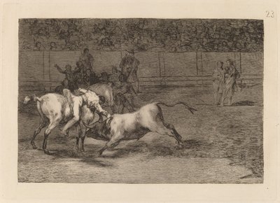 Mariano Ceballos, aliás o índio, mata o touro de seu cavalo (Mariano Ceballos, aliás o índio, mata o touro de seu cavalo) de Francisco de Goya