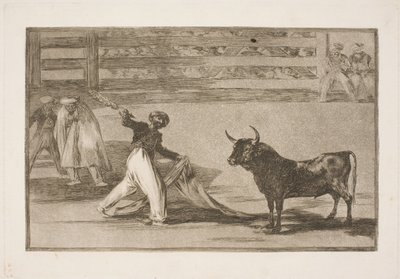 A origem dos arpões ou banderillas de Francisco de Goya