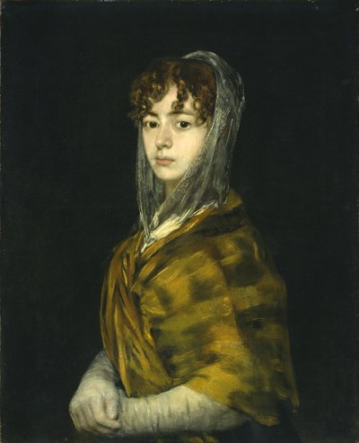 Señora Sabasa Garcia, c.1806-11 (óleo sobre tela) de Francisco de Goya