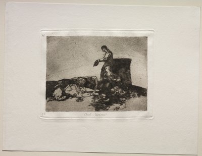 Os horrores da guerra: Conto cruel de aflição. de Francisco de Goya