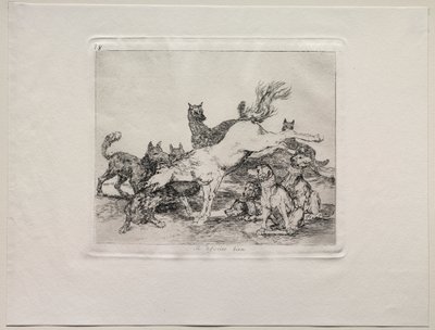 Os horrores da guerra: ele se defende bem de Francisco de Goya