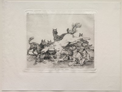 Os horrores da guerra: ele se defende bem. de Francisco de Goya