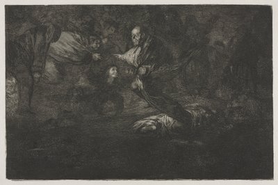 Os Provérbios: Deus os cria e eles se unem de Francisco de Goya