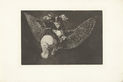 loucura voadora Disparada volante Los Disparates (The follies) (título da série) Los Proverbios (Os Provérbios) (título da série) de Francisco de Goya