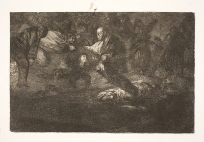 Nosso Senhor os cria, e eles terminam em bela união / Pássaros da mesma pena voam em bandos de Francisco de Goya