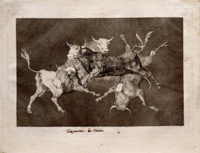 Tolice de Francisco de Goya