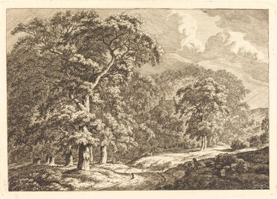 Floresta com viajantes por uma estrada de Franciscus A. Milatz