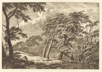 Viajantes em uma estrada florestal em uma tempestade de Franciscus A. Milatz