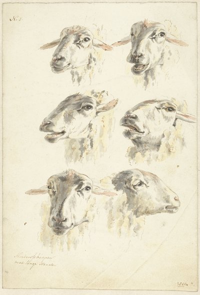 Folha de estudo com seis cabeças de ovelha de Franciscus Andreas Milatz (attributed to)