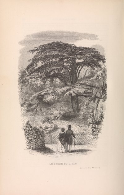 O Jardim Botânico, Descrições e Maneiras dos Mamíferos, 1842. de Francois Boitard