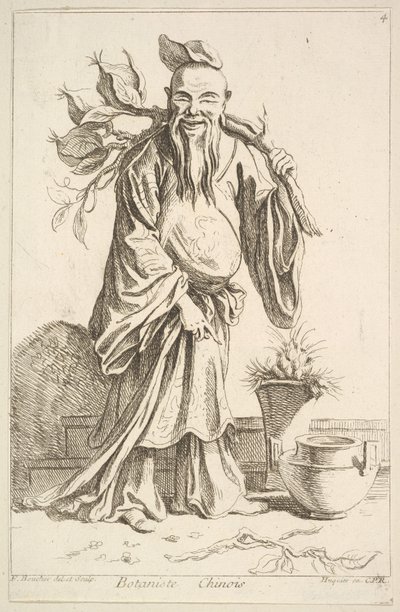 botânico chinês de François Boucher