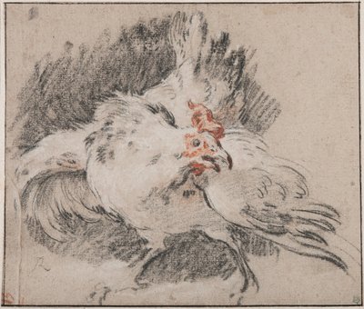 Estudo de um galo de François Boucher