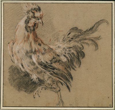 Estudo de um galo de François Boucher