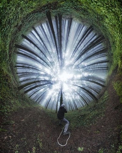 Caminho da Floresta em Espiral de Francois Casanova